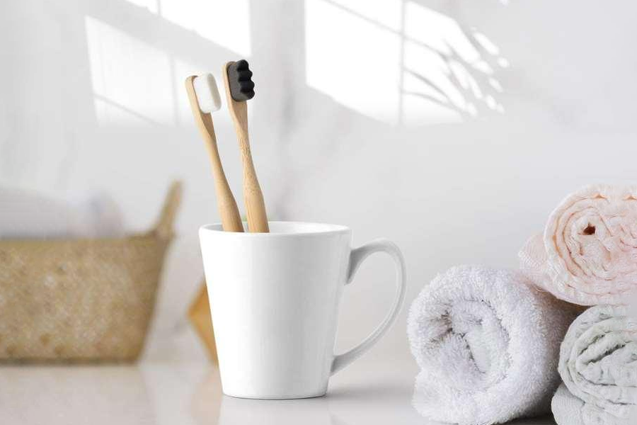 Eco-Friendly Travel Toothbrush Set