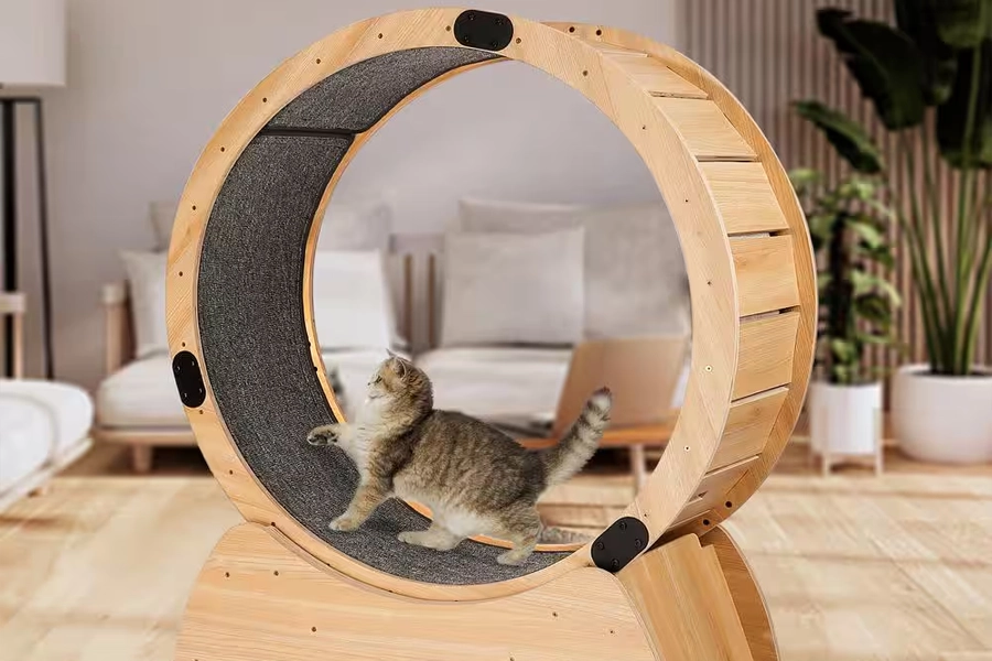 Pet Exercise Equipment for Cats